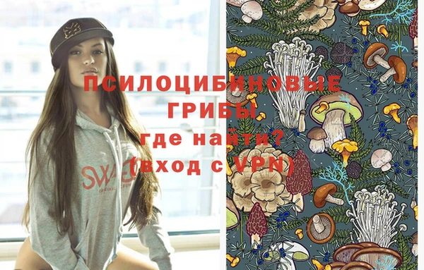 соль ск Магас